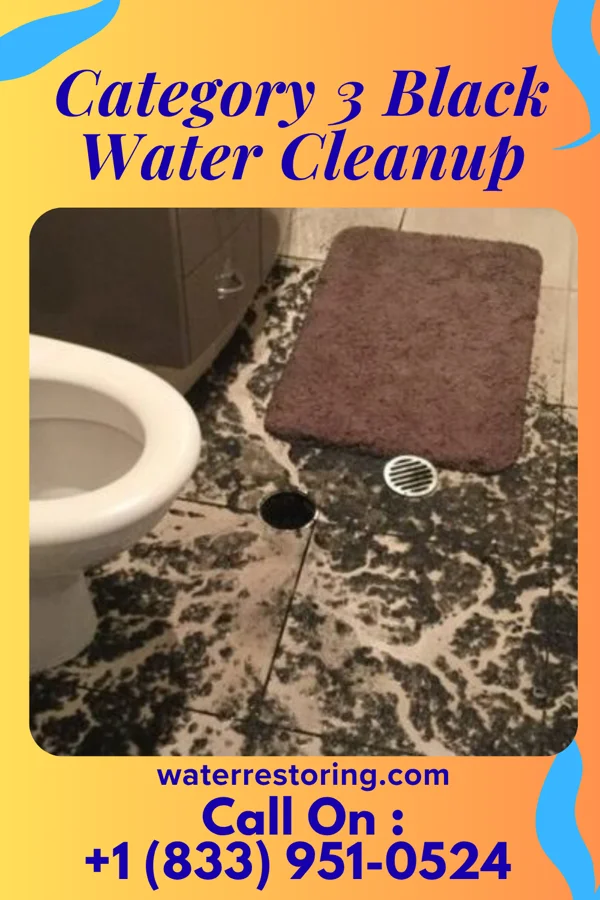 Category 3 Black Water Cleanup in Charlton, MD