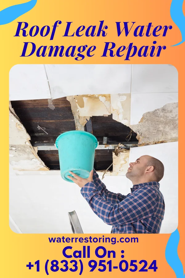 Roof Leak Water Damage Repair in Charlton, MD