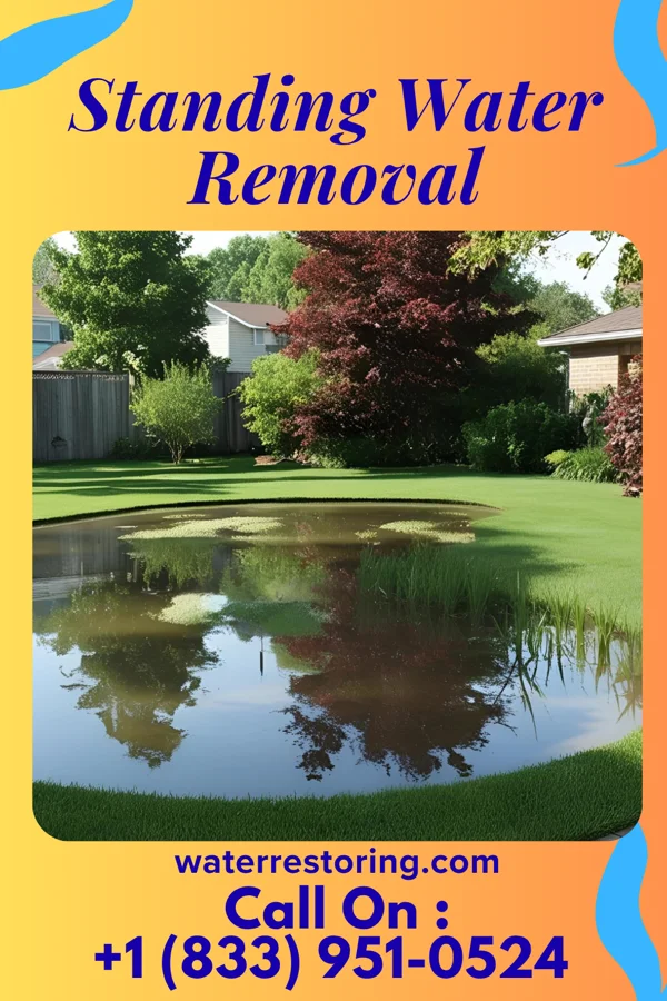 Standing Water Removal in Charlton, MD